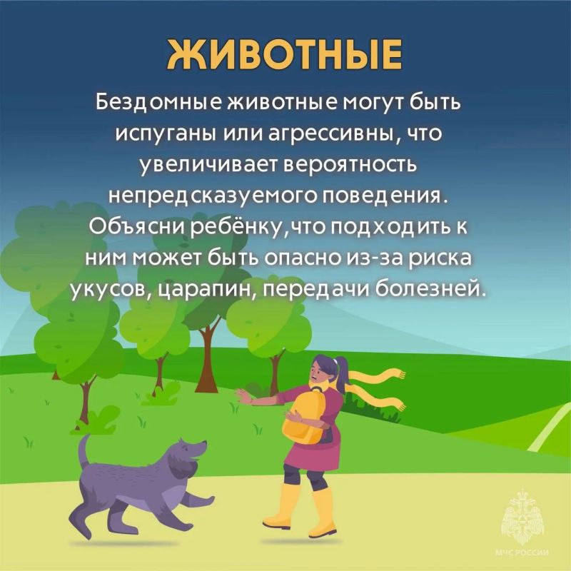 Каникулы без опасности — лучшие каникулы! Каникулы без опасности — лучшие каникулы!