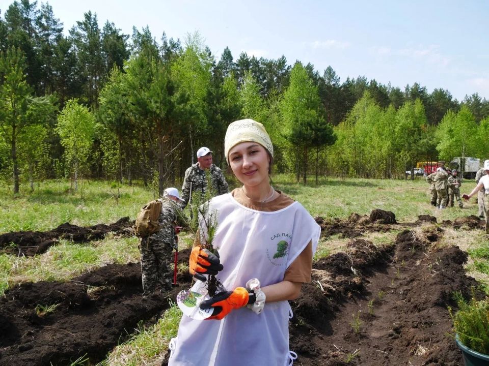 Илья Середюк: В Топкинском округе высадили почти пять тысяч молодых елочек