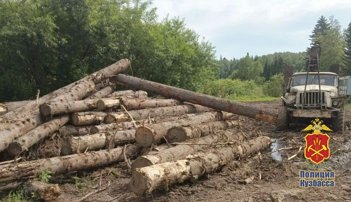 Житель Новокузнецка выслушал приговор за незаконную организацию вырубки леса на 4,5 млн рублей Житель Новокузнецка выслушал приговор за незаконную организацию вырубки леса на 4,5 млн рублей