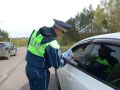 В Берёзовском сотрудники Госавтоинспекции провели профилактическую акцию «Автокресло – детям!»