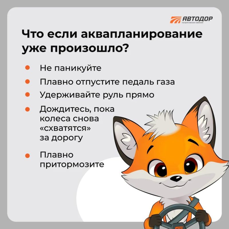 Дорога в дождь не прощает ошибок Дорога в дождь не прощает ошибок