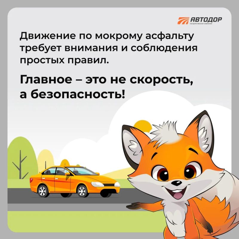 Дорога в дождь не прощает ошибок Дорога в дождь не прощает ошибок