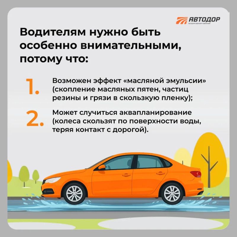 Дорога в дождь не прощает ошибок Дорога в дождь не прощает ошибок