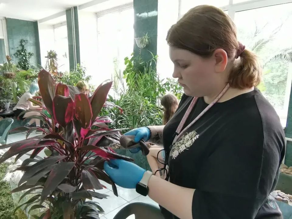 В Кемерове более 3 тысяч несовершеннолетних во время летних каникул заработают деньги на карманные расходы В Кемерове более 3 тысяч несовершеннолетних во время летних каникул заработают деньги на карманные расходы
