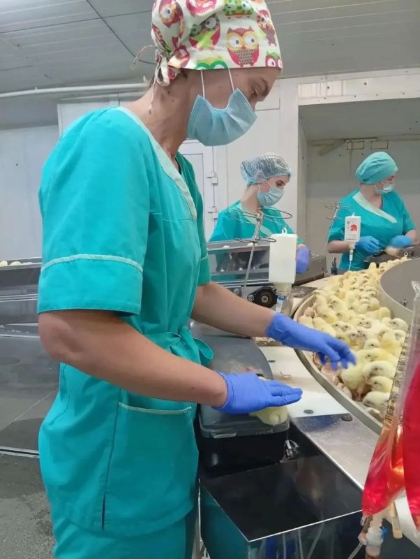 Две жительницы Кузбасса представят регион на всероссийском этапе конкурса «Женщины в АПК» Две жительницы Кузбасса представят регион на всероссийском этапе конкурса «Женщины в АПК»