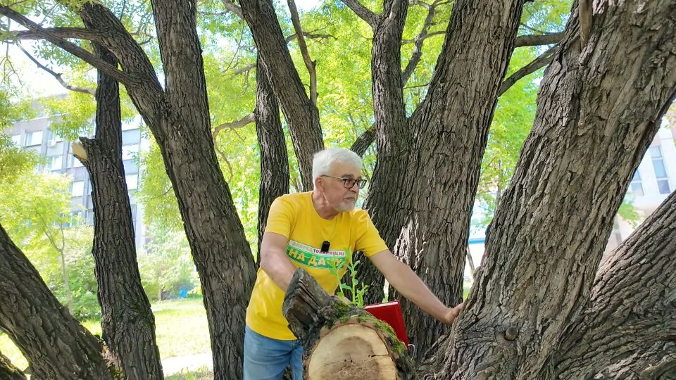 В новом выпуске программы «Вперёд, товарищи! На дачу!» лес, который можно вырастить в городе: В новом выпуске программы «Вперёд, товарищи! На дачу!» лес, который можно вырастить в городе: