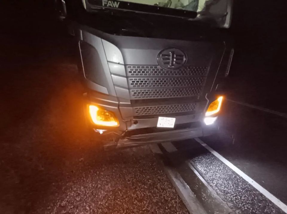 В Кузбассе с начала года произошло 167 ДТП с животными В Кузбассе с начала года произошло 167 ДТП с животными