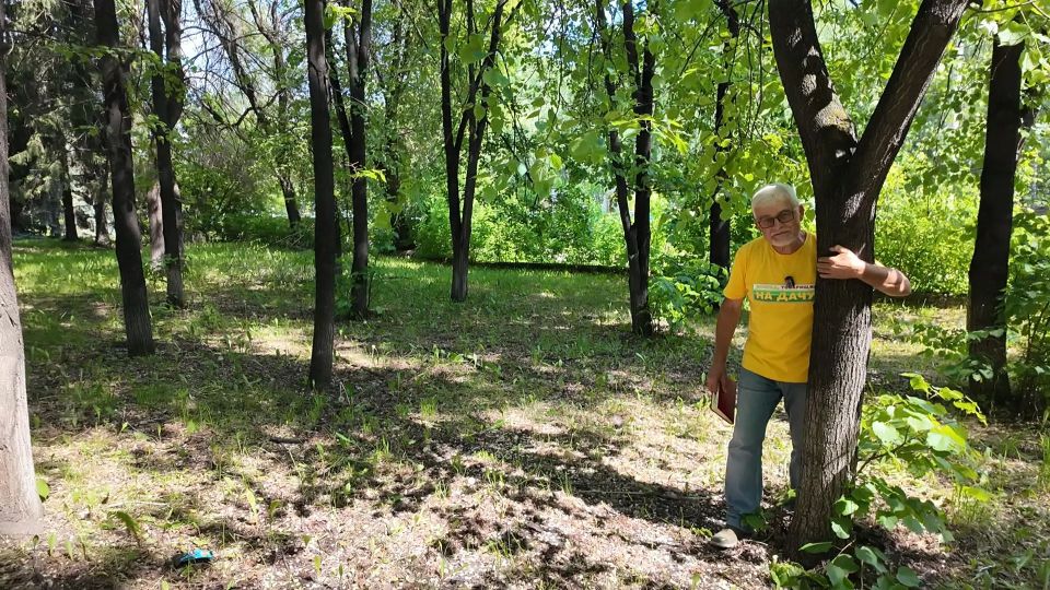 В новом выпуске программы «Вперёд, товарищи! На дачу!» лес, который можно вырастить в городе: В новом выпуске программы «Вперёд, товарищи! На дачу!» лес, который можно вырастить в городе: