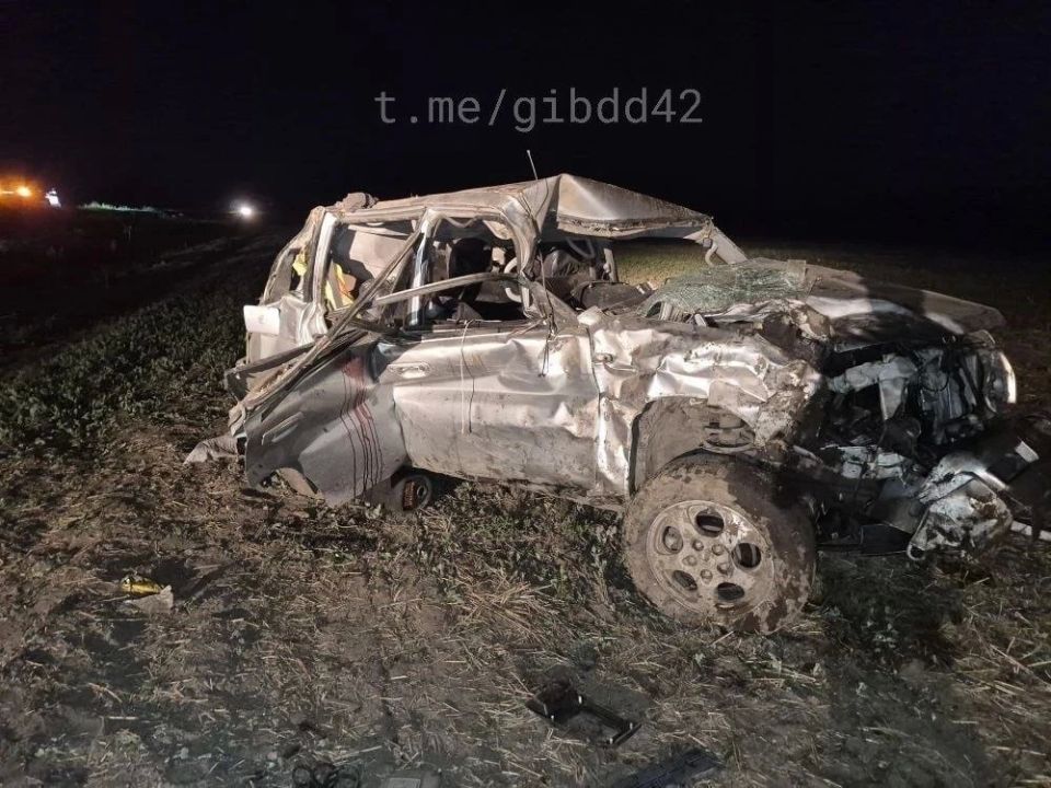В Кузбассе с начала года произошло 167 ДТП с животными В Кузбассе с начала года произошло 167 ДТП с животными