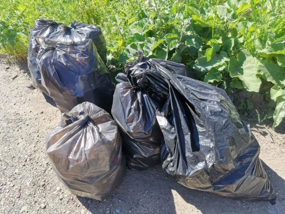 Сегодня активисты провели экологический субботник «Кузбасским рекам - чистые берега!» в Центральном районе Сегодня активисты провели экологический субботник «Кузбасским рекам - чистые берега!» в Центральном районе