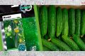 ������� ��������� ����������� ������� ����� �����