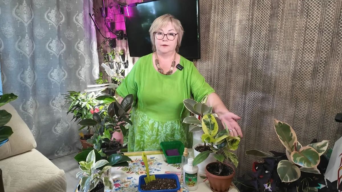 Очистка земли от сорняков в новом выпуске программы «Вперёд, товарищи! На дачу!»: Очистка земли от сорняков в новом выпуске программы «Вперёд, товарищи! На дачу!»: