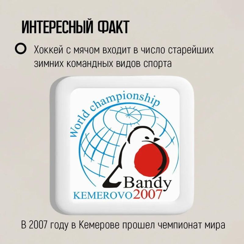 Хоккей с мячом — один из старейших зимних командных видов спорта, который занимает особое место в спортивной истории России Хоккей с мячом — один из старейших зимних командных видов спорта, который занимает особое место в спортивной истории России