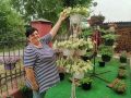 Кемеровчанка украсила двор 18 сортами петуний