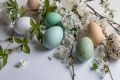Почему зеленые куриные яйца становятся все более популярными
