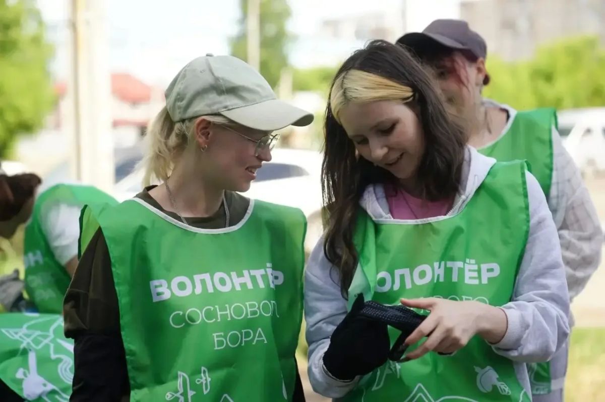 В Рудничном бору Кемерова проходят еженедельные субботники по оздоровлению лесного массива В Рудничном бору Кемерова проходят еженедельные субботники по оздоровлению лесного массива
