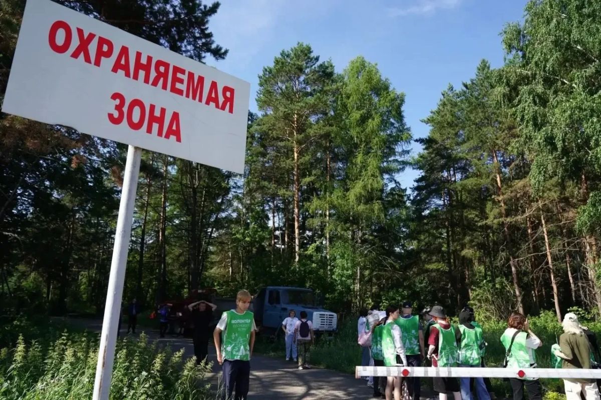 В Рудничном бору Кемерова проходят еженедельные субботники по оздоровлению лесного массива В Рудничном бору Кемерова проходят еженедельные субботники по оздоровлению лесного массива
