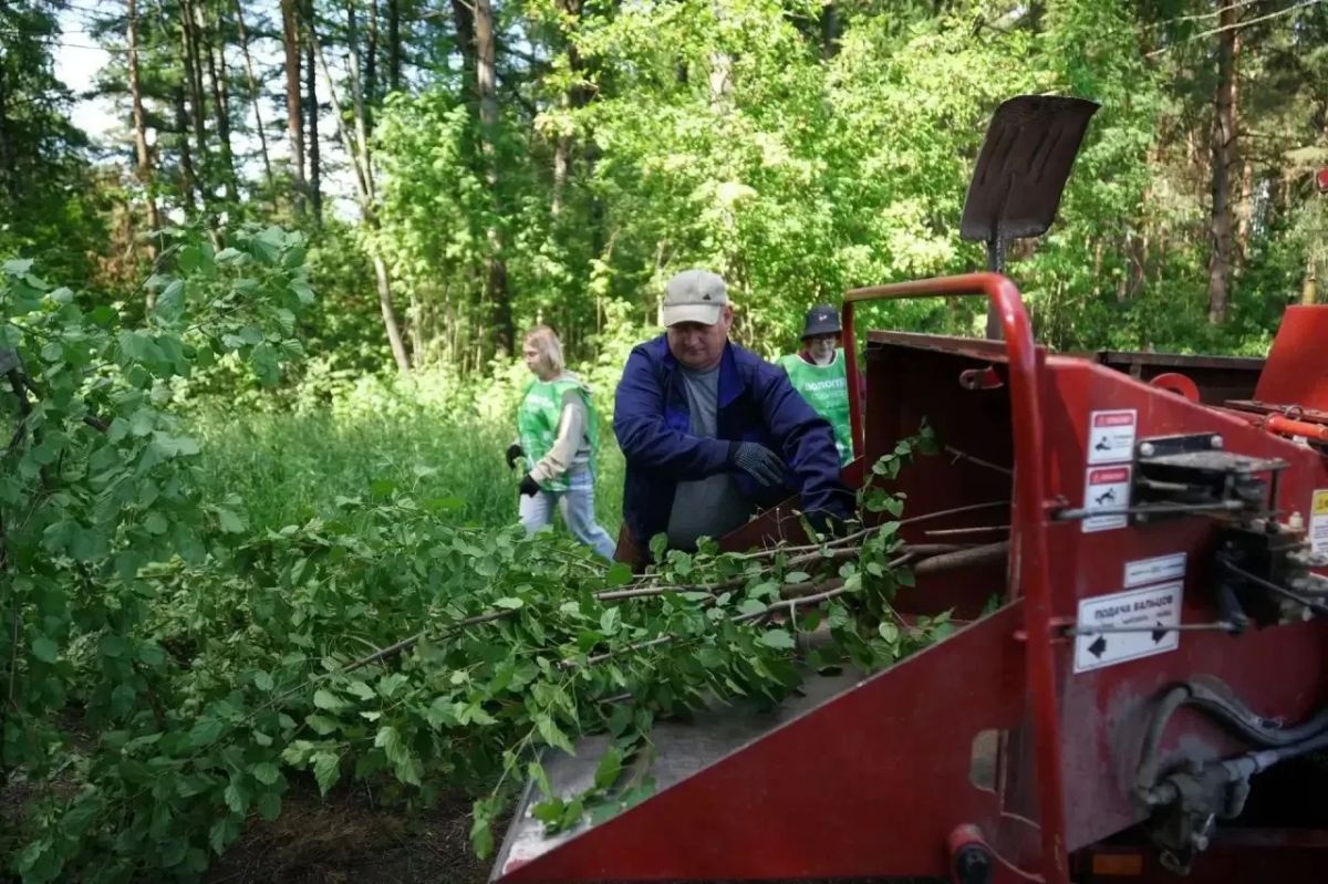 В Рудничном бору Кемерова проходят еженедельные субботники по оздоровлению лесного массива В Рудничном бору Кемерова проходят еженедельные субботники по оздоровлению лесного массива