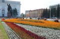 Сегодня на ежедневные работы по текущему содержанию города вышли 240 рабочих