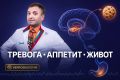 Тревога и лишний вес: как нервная система влияет на наши привычки питания