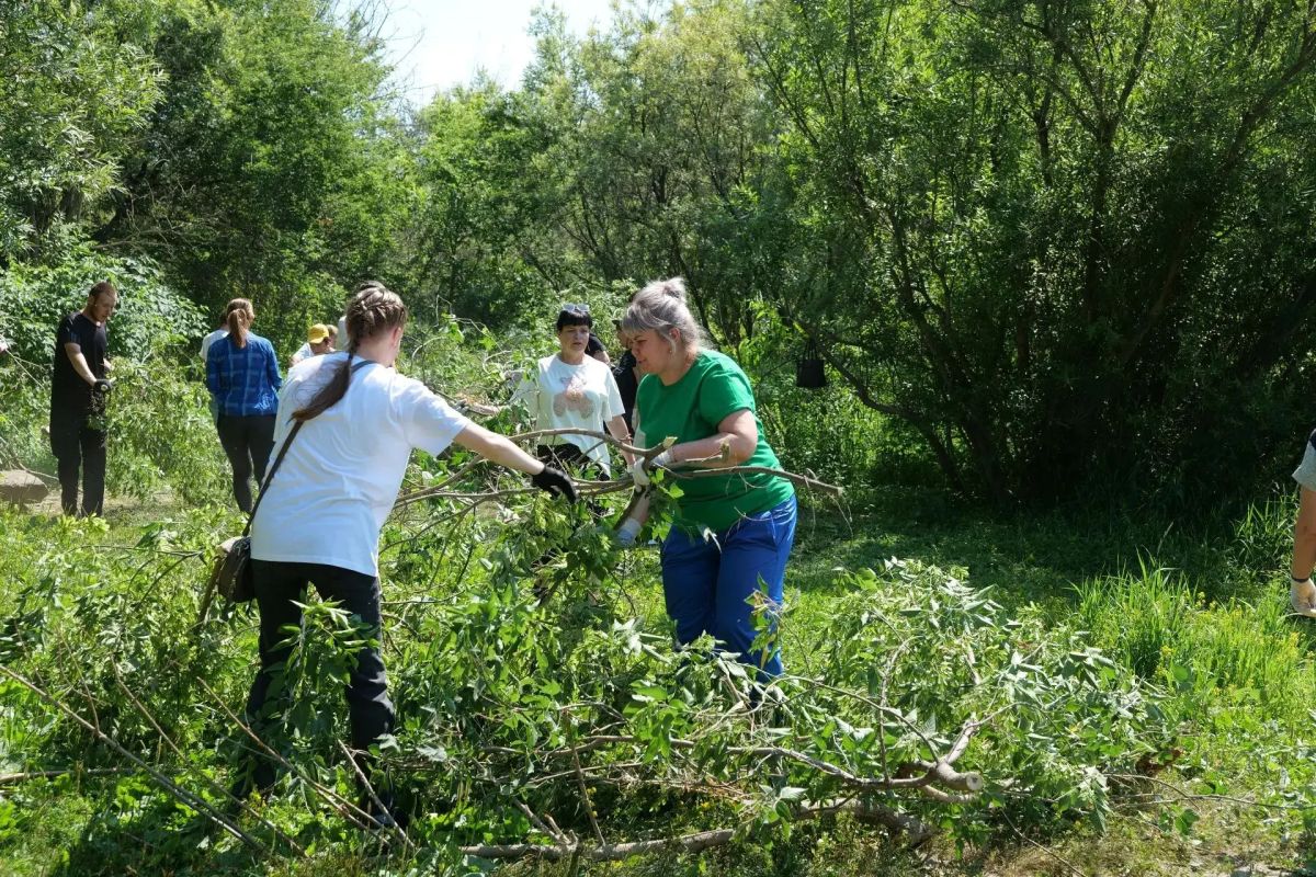В прибрежной полосе вдоль набережной Томи в Кировском районе прошёл субботник по инициативе жителей В прибрежной полосе вдоль набережной Томи в Кировском районе прошёл субботник по инициативе жителей