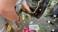 18 сим-боксов и 650 сим-карт: в Кемерове задержали двух помощников кибермошенников