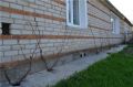 Виноград в Беларуси: как выбрать лучший сорт и ухаживать за ним