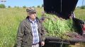 Витамины для диких животных