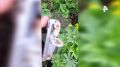 "Я сначала подумал, что это пачка сигарет": турист из Кузбасса нашёл фотоаппарат, потерянный 13 лет назад — и вернул его владельцу