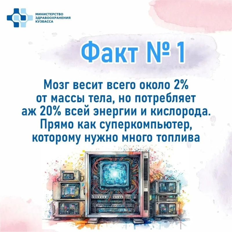 Сегодня — Всемирный день мозга Сегодня — Всемирный день мозга