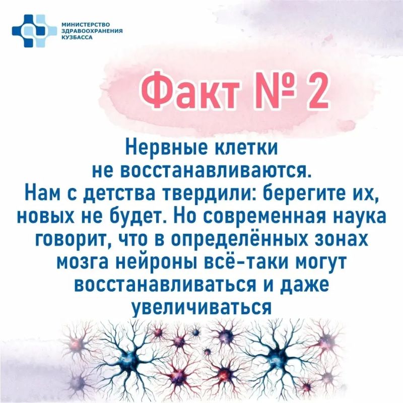 Сегодня — Всемирный день мозга Сегодня — Всемирный день мозга
