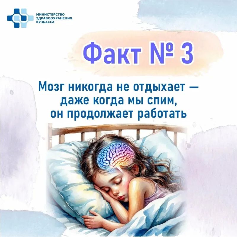 Сегодня — Всемирный день мозга Сегодня — Всемирный день мозга
