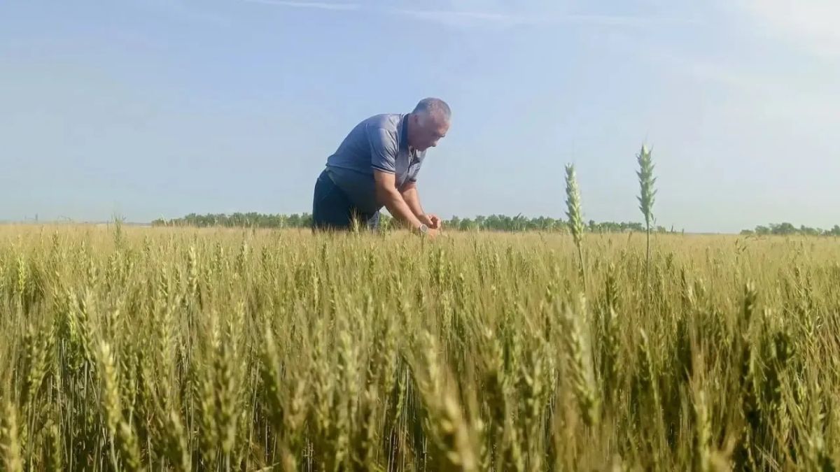 Агропромышленный комплекс — в числе приоритетных отраслей по обеспечению топливом Агропромышленный комплекс — в числе приоритетных отраслей по обеспечению топливом