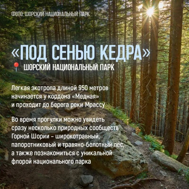 Лучший способ познакомиться с природой Кузбасса — отправиться по экотропе Лучший способ познакомиться с природой Кузбасса — отправиться по экотропе