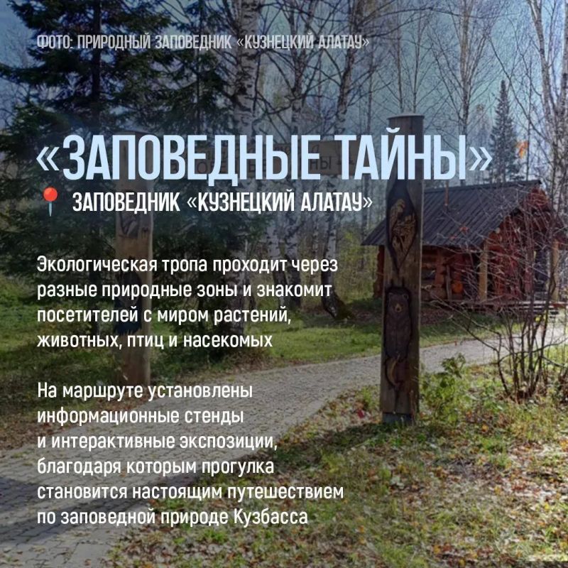 Лучший способ познакомиться с природой Кузбасса — отправиться по экотропе Лучший способ познакомиться с природой Кузбасса — отправиться по экотропе
