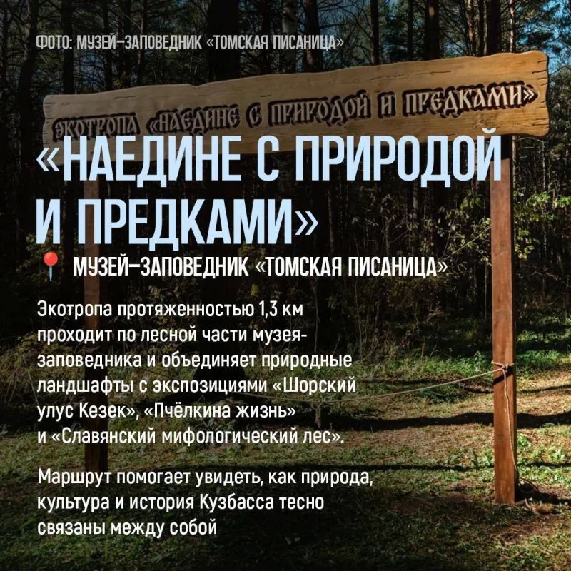 Лучший способ познакомиться с природой Кузбасса — отправиться по экотропе Лучший способ познакомиться с природой Кузбасса — отправиться по экотропе