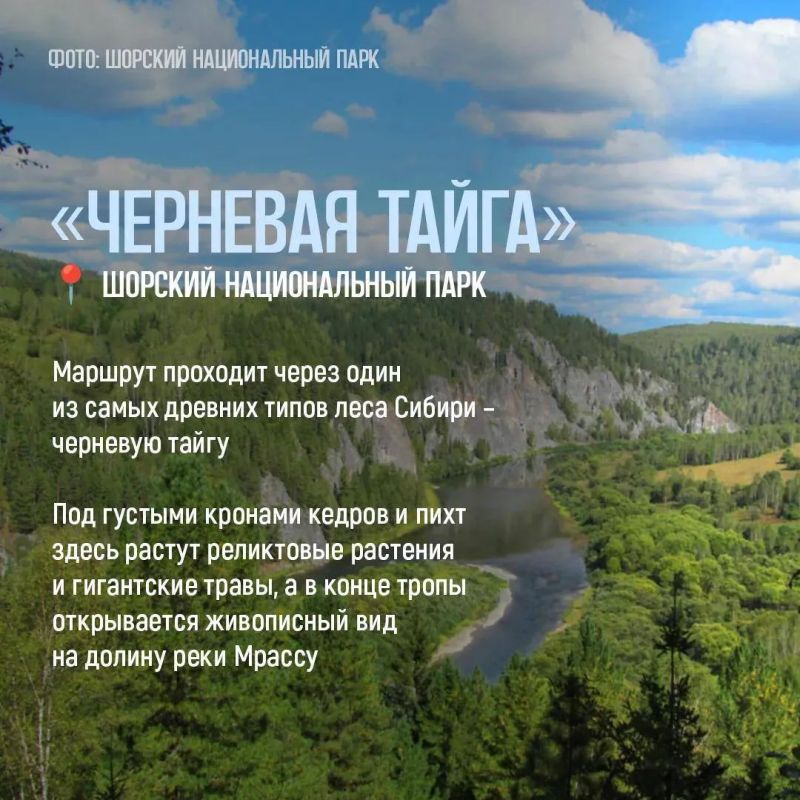 Лучший способ познакомиться с природой Кузбасса — отправиться по экотропе Лучший способ познакомиться с природой Кузбасса — отправиться по экотропе