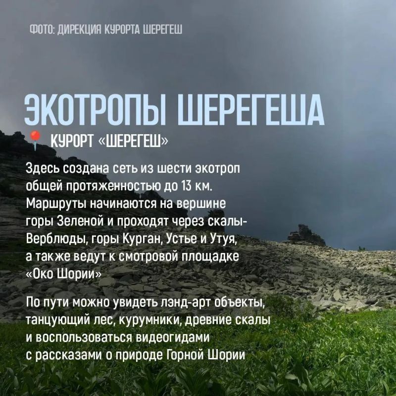 Лучший способ познакомиться с природой Кузбасса — отправиться по экотропе Лучший способ познакомиться с природой Кузбасса — отправиться по экотропе