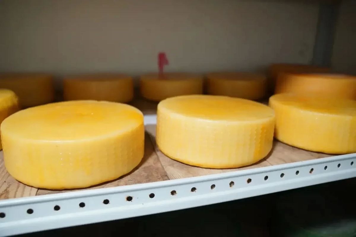 Илья Середюк: По просьбам кузбассовцев наращиваем поставки продуктов наших производителей в торговые сети Илья Середюк: По просьбам кузбассовцев наращиваем поставки продуктов наших производителей в торговые сети
