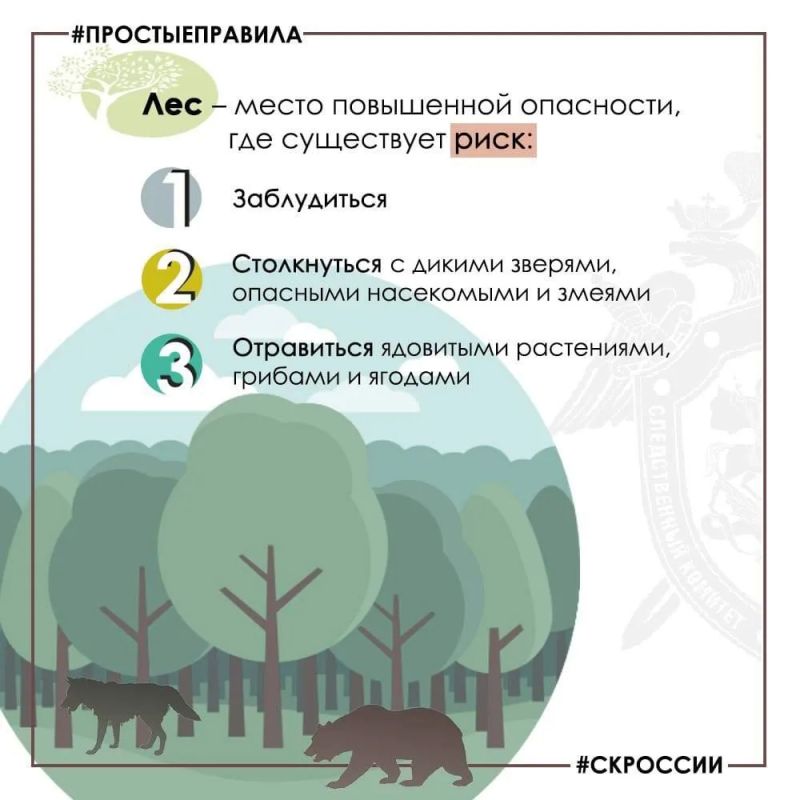 Региональное следственное управление предупреждает: соблюдайте меры безопасности при сборе грибов и ягод Региональное следственное управление предупреждает: соблюдайте меры безопасности при сборе грибов и ягод