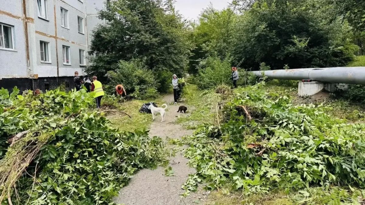 В Кедровке прошёл субботник по инициативе жителей