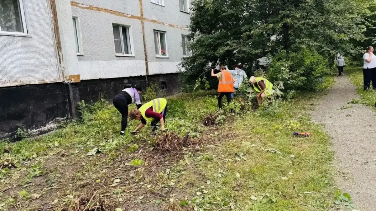 В Кедровке прошёл субботник по инициативе жителей В Кедровке прошёл субботник по инициативе жителей