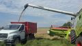 Уже собрали почти 100 тысяч тонн зерна: в Кузбассе началась уборочная кампания