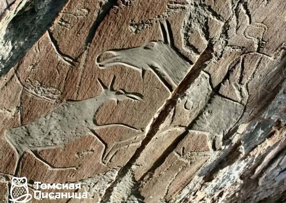 Неделя АРХЕОЛОГИИ. Сибирь хранит тайны, которые учёные только начинают раскрывать Неделя АРХЕОЛОГИИ. Сибирь хранит тайны, которые учёные только начинают раскрывать
