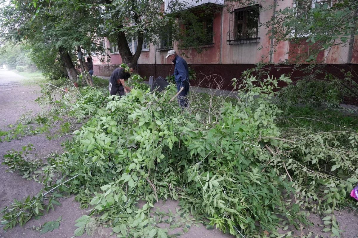 В Центральном районе для наведения порядка объединились общественники, депутаты, сотрудники коммунальных служб, студенты В Центральном районе для наведения порядка объединились общественники, депутаты, сотрудники коммунальных служб, студенты