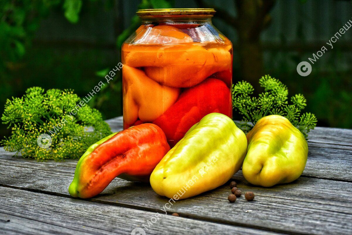Простая и невероятно вкусная заготовка из болгарского перца на зиму