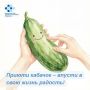 Где-то сейчас грустит один кабачок