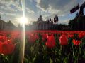 Кемерово вошел в список финалистов всероссийского конкурса «Культурная столица 2028 года»
