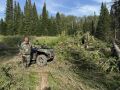В Бачатском лесничестве пресекли незаконную рубку пихты