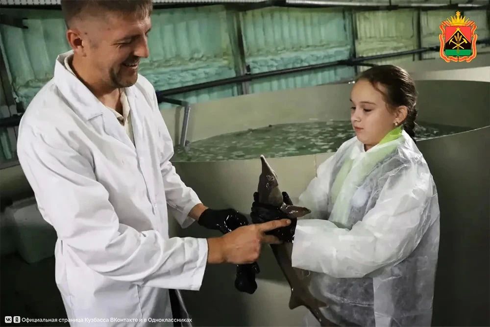 В Кузбассе заработал современный комплекс по выращиванию осетра